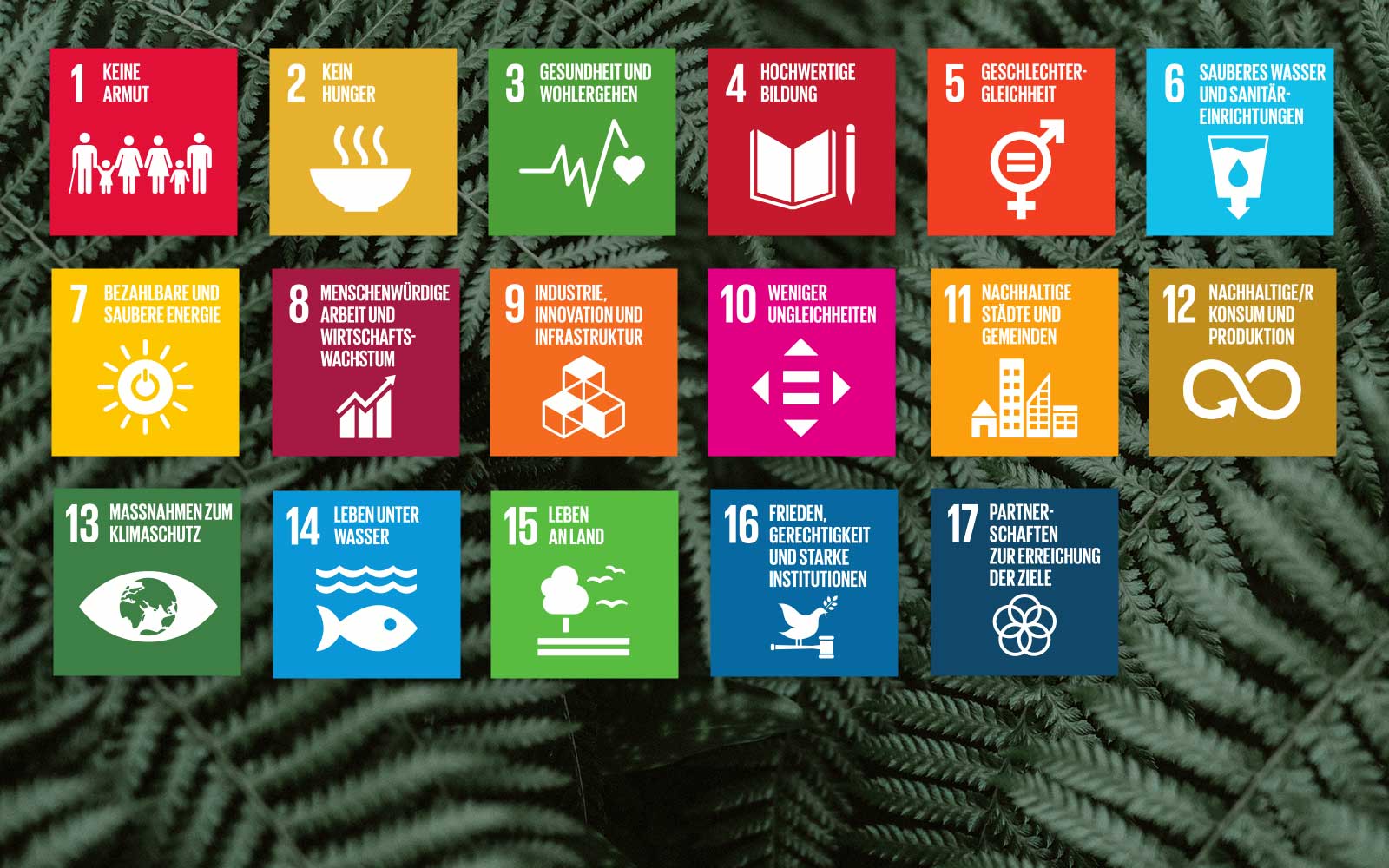 National Implementation of the Sustainable Development Goals - The Nordic Countries
